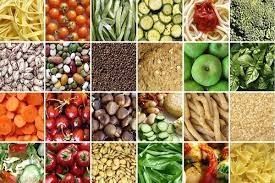 Fruit And Vegetable Dehydrated Powder Manufacturers In gujarat