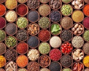 Fruit And Vegetable Dehydrated Powder Manufacturers In gujarat